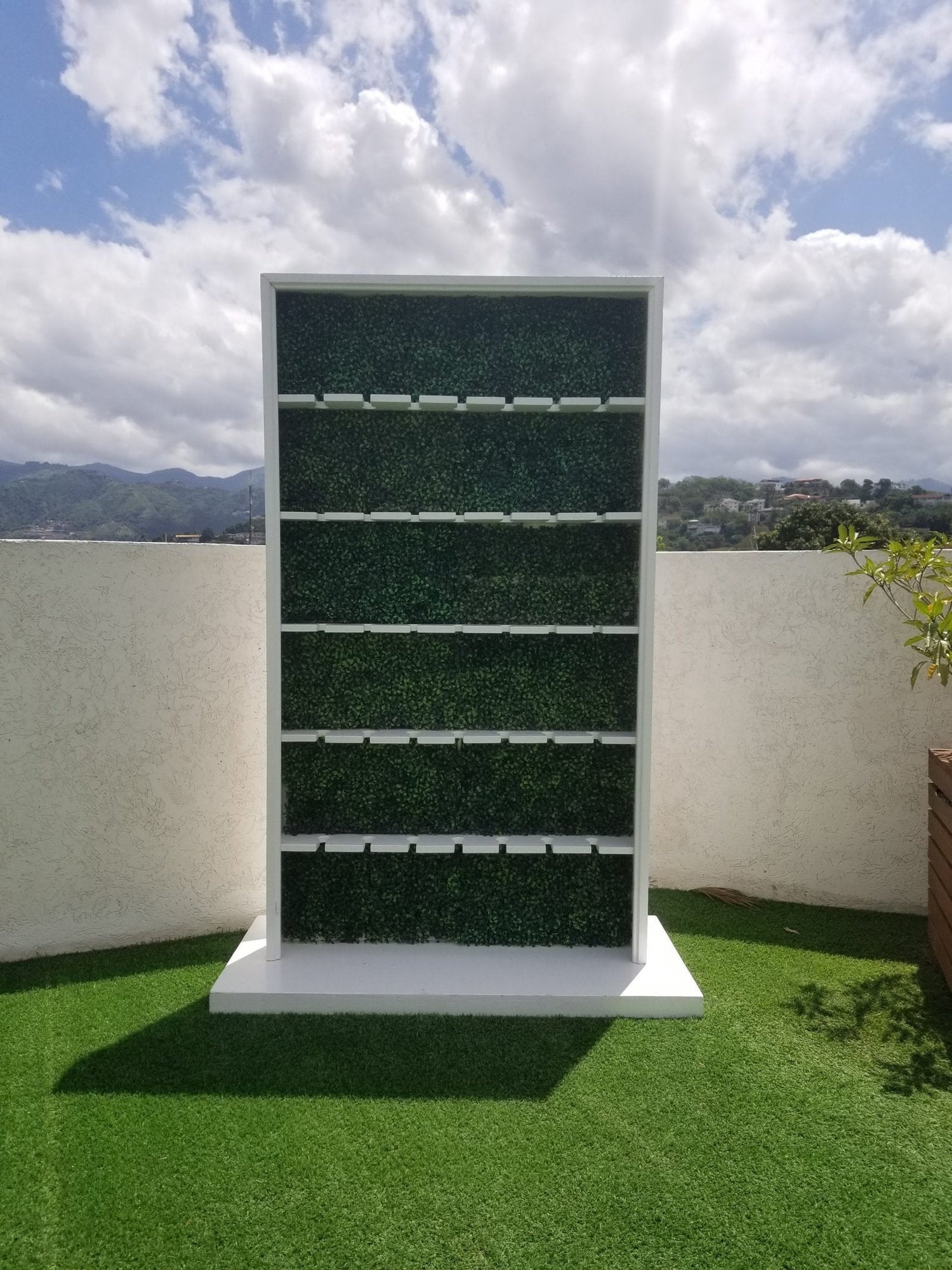 Champagne Wall 🥂 🍾