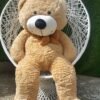 Teddy Bears