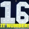 4ft Lit Numbers (#0-#9)