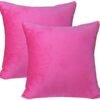 Pink Seating Cushion 20x20