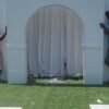 Walk Thru Arch 8ft