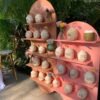 Double Arch Display Stand